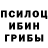 Псилоцибиновые грибы Magic Shrooms KriptoKIINER *