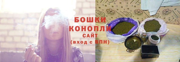 СК Горняк