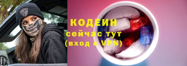 СК Горняк