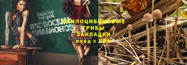 СК Горняк