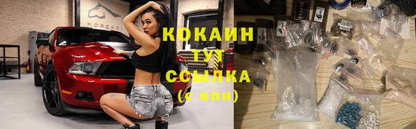 СК Горняк