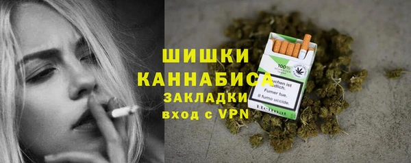 mdpv Горно-Алтайск