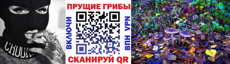 кракен онион  Лакинск  Галлюциногенные грибы Psilocybe 